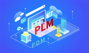 PLMPDM